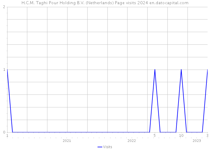 H.C.M. Taghi Pour Holding B.V. (Netherlands) Page visits 2024 