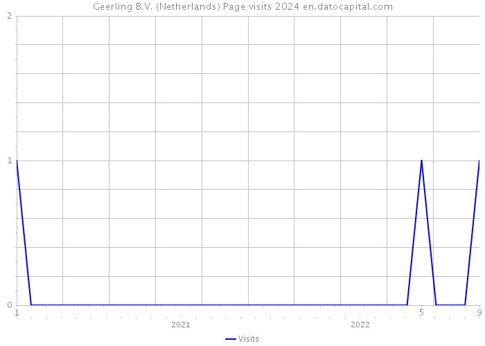 Geerling B.V. (Netherlands) Page visits 2024 