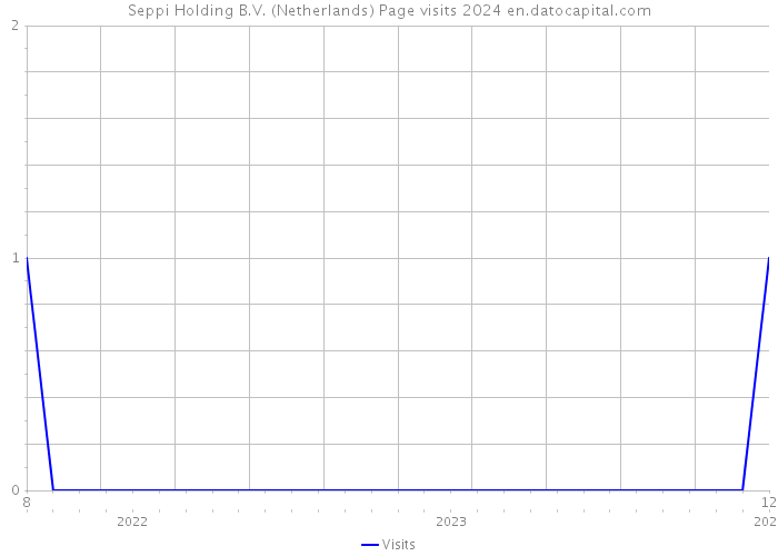 Seppi Holding B.V. (Netherlands) Page visits 2024 