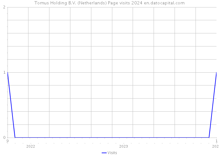 Tomus Holding B.V. (Netherlands) Page visits 2024 