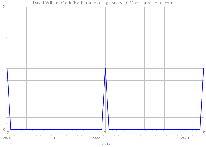 David William Clark (Netherlands) Page visits 2024 
