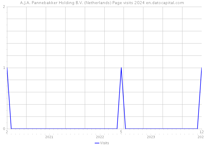 A.J.A. Pannebakker Holding B.V. (Netherlands) Page visits 2024 