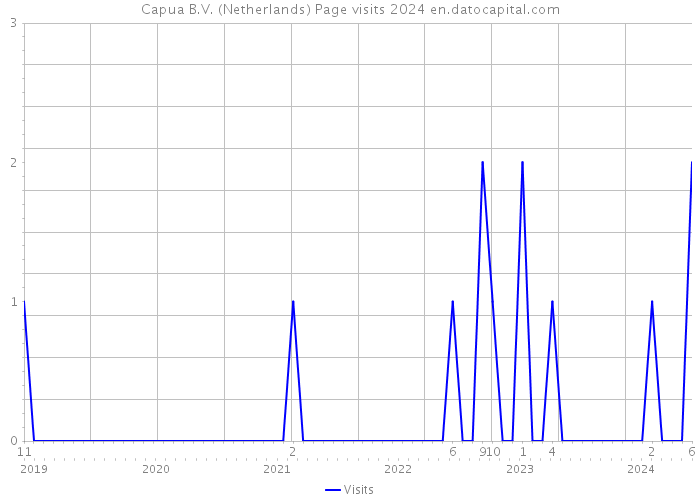 Capua B.V. (Netherlands) Page visits 2024 