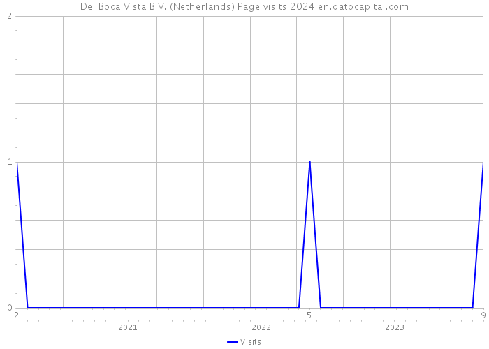 Del Boca Vista B.V. (Netherlands) Page visits 2024 