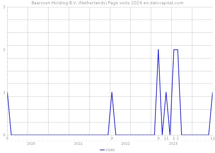 Baarssen Holding B.V. (Netherlands) Page visits 2024 
