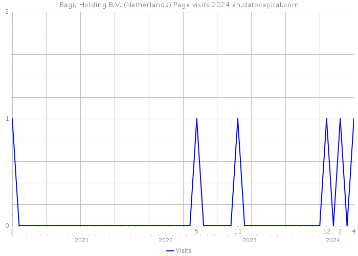 Bagu Holding B.V. (Netherlands) Page visits 2024 