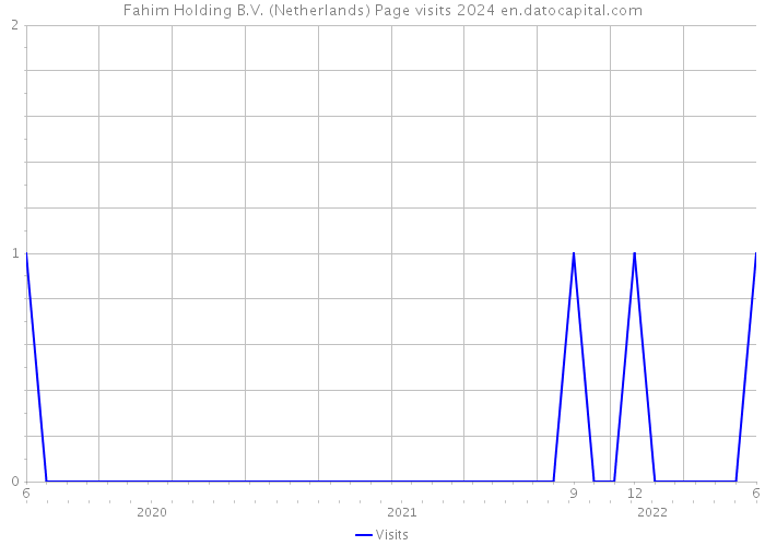 Fahim Holding B.V. (Netherlands) Page visits 2024 