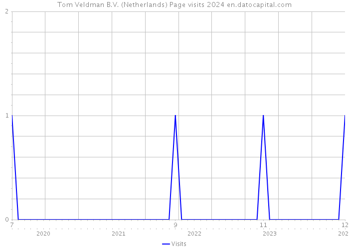 Tom Veldman B.V. (Netherlands) Page visits 2024 