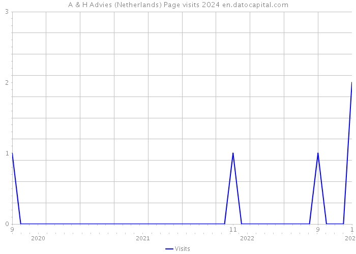 A & H Advies (Netherlands) Page visits 2024 