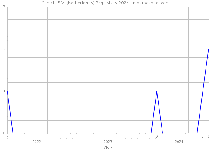 Gemelli B.V. (Netherlands) Page visits 2024 