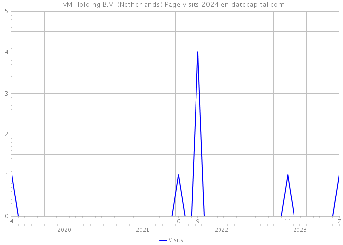 TvM Holding B.V. (Netherlands) Page visits 2024 