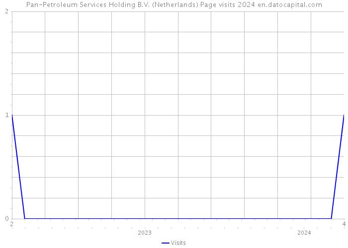 Pan-Petroleum Services Holding B.V. (Netherlands) Page visits 2024 