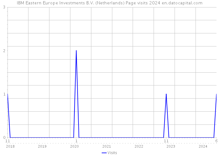 IBM Eastern Europe Investments B.V. (Netherlands) Page visits 2024 