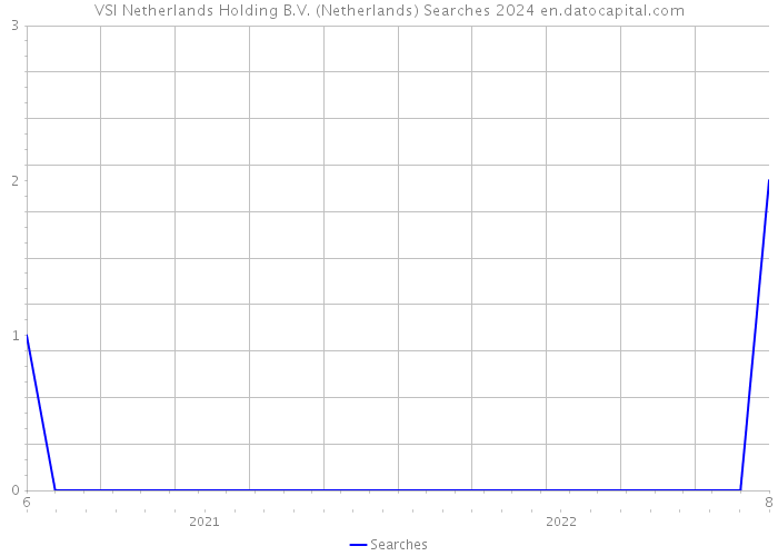 VSI Netherlands Holding B.V. (Netherlands) Searches 2024 