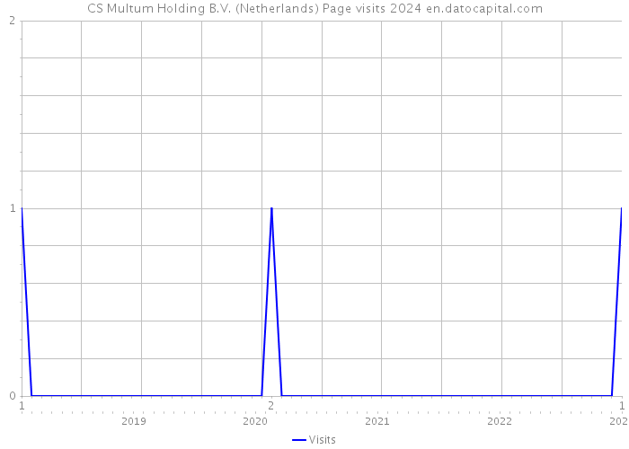CS Multum Holding B.V. (Netherlands) Page visits 2024 