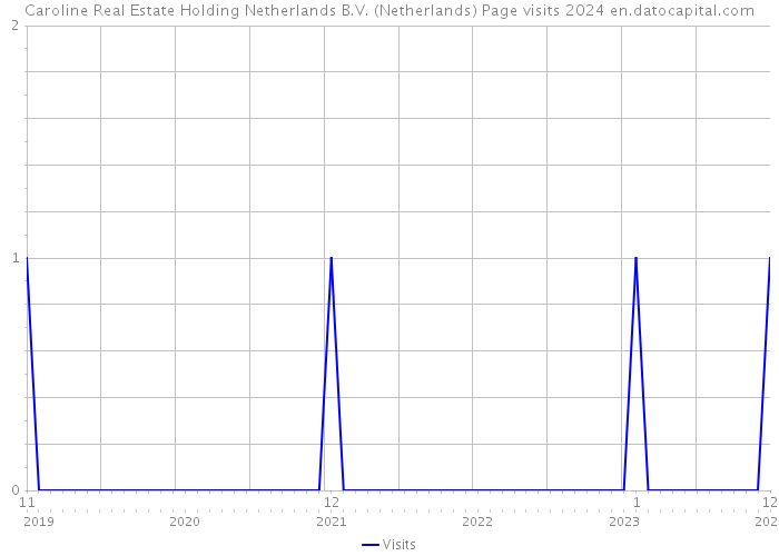 Caroline Real Estate Holding Netherlands B.V. (Netherlands) Page visits 2024 