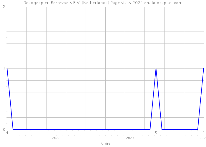 Raadgeep en Berrevoets B.V. (Netherlands) Page visits 2024 