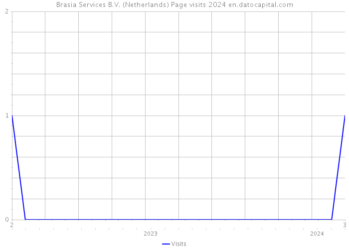 Brasia Services B.V. (Netherlands) Page visits 2024 