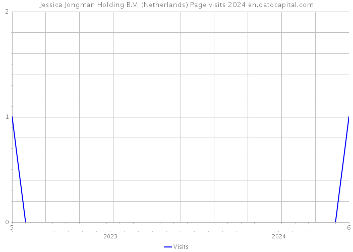 Jessica Jongman Holding B.V. (Netherlands) Page visits 2024 