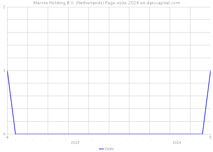 Marote Holding B.V. (Netherlands) Page visits 2024 