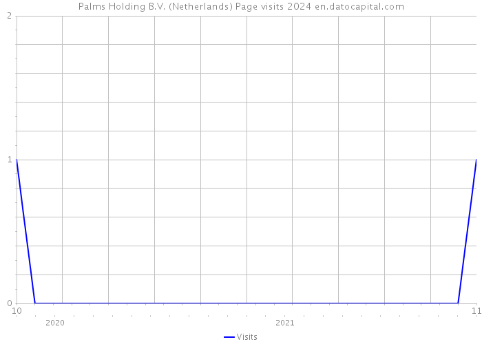 Palms Holding B.V. (Netherlands) Page visits 2024 