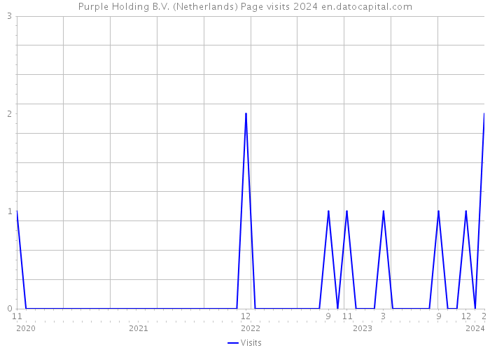 Purple Holding B.V. (Netherlands) Page visits 2024 
