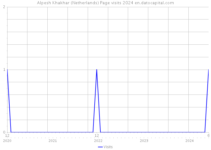 Alpesh Khakhar (Netherlands) Page visits 2024 