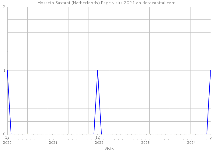 Hossein Bastani (Netherlands) Page visits 2024 