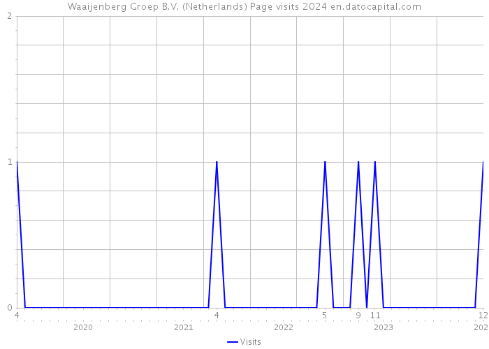 Waaijenberg Groep B.V. (Netherlands) Page visits 2024 