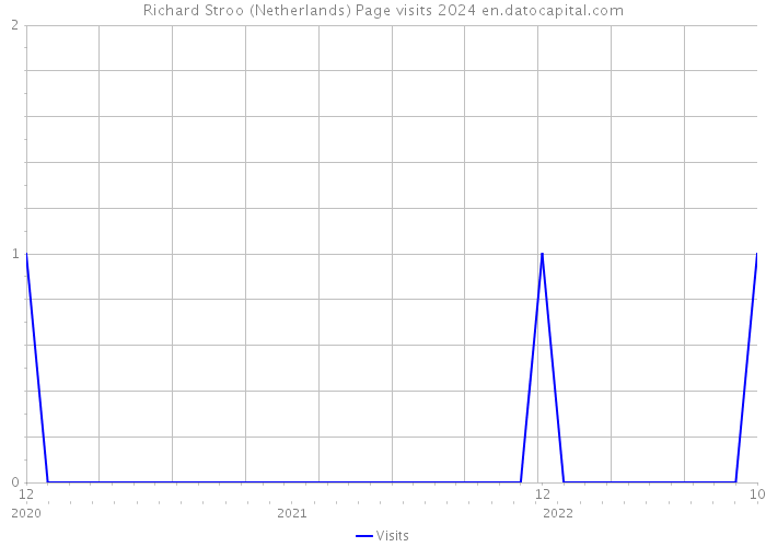 Richard Stroo (Netherlands) Page visits 2024 