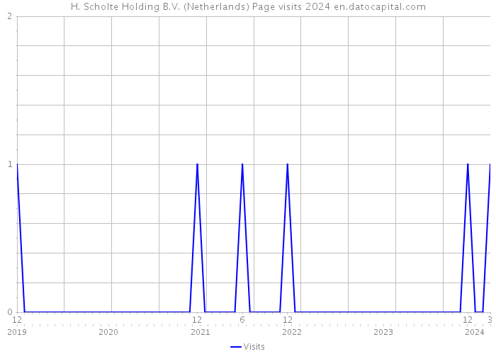 H. Scholte Holding B.V. (Netherlands) Page visits 2024 