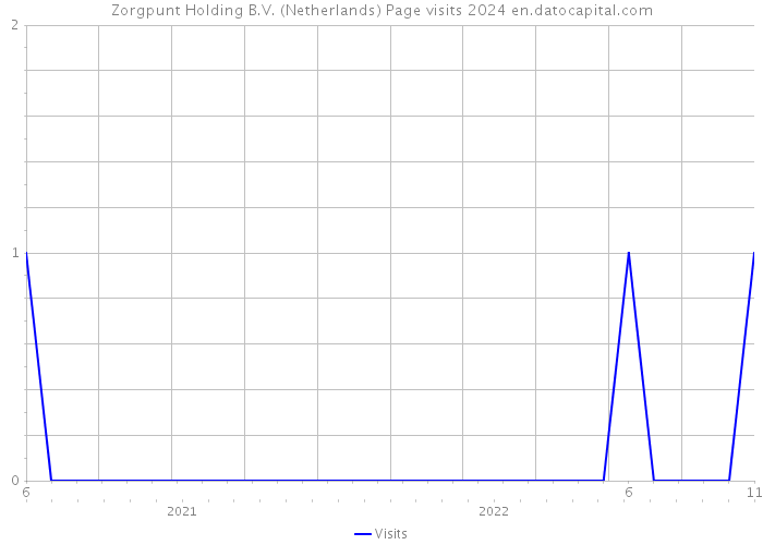 Zorgpunt Holding B.V. (Netherlands) Page visits 2024 