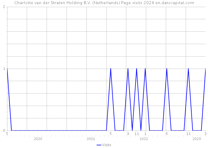 Charlotte van der Straten Holding B.V. (Netherlands) Page visits 2024 