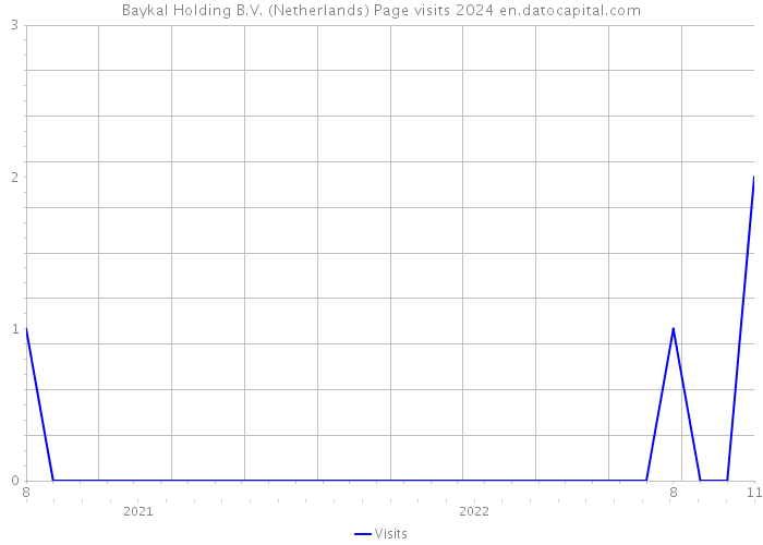 Baykal Holding B.V. (Netherlands) Page visits 2024 