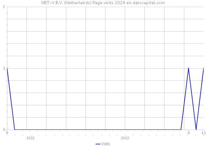 NET-V B.V. (Netherlands) Page visits 2024 