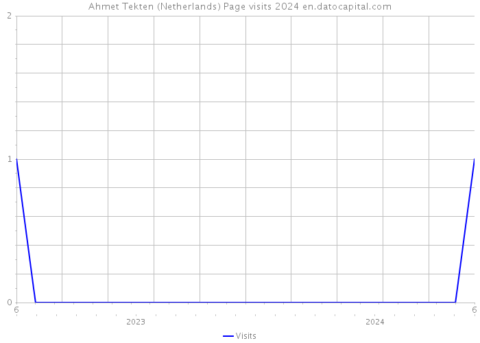 Ahmet Tekten (Netherlands) Page visits 2024 