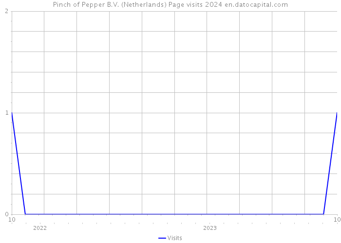 Pinch of Pepper B.V. (Netherlands) Page visits 2024 