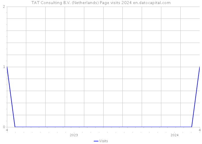 TAT Consulting B.V. (Netherlands) Page visits 2024 