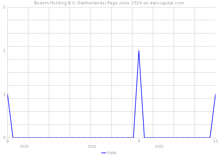 Bodem Holding B.V. (Netherlands) Page visits 2024 