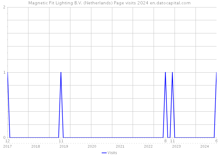 Magnetic Fit Lighting B.V. (Netherlands) Page visits 2024 