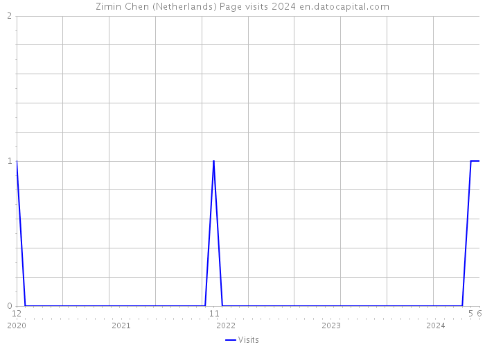 Zimin Chen (Netherlands) Page visits 2024 