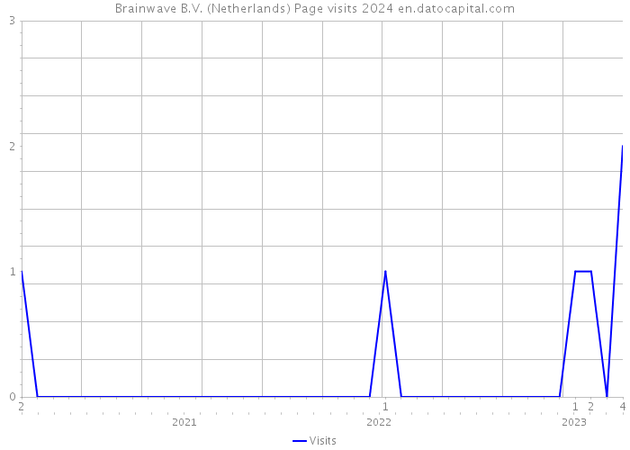 Brainwave B.V. (Netherlands) Page visits 2024 