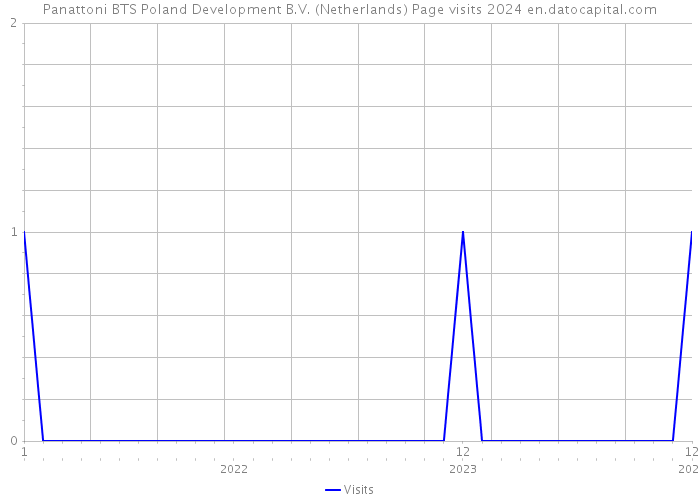 Panattoni BTS Poland Development B.V. (Netherlands) Page visits 2024 