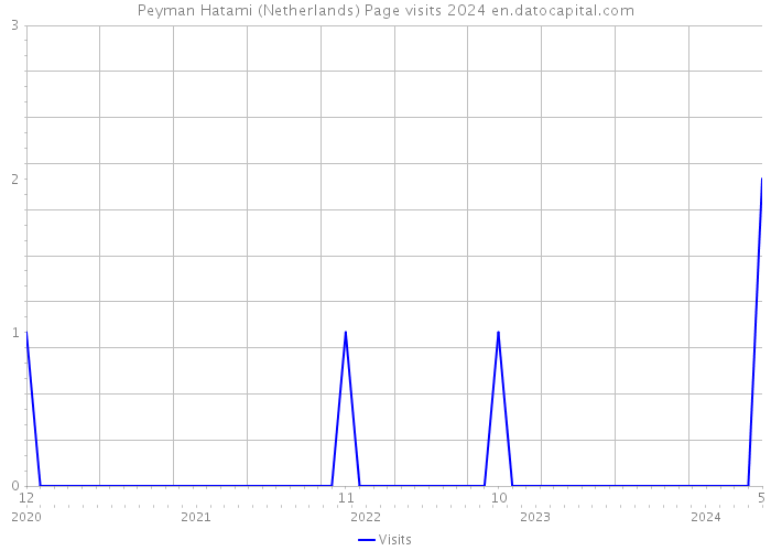 Peyman Hatami (Netherlands) Page visits 2024 