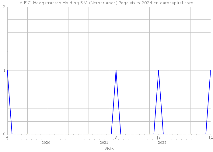 A.E.C. Hoogstraaten Holding B.V. (Netherlands) Page visits 2024 