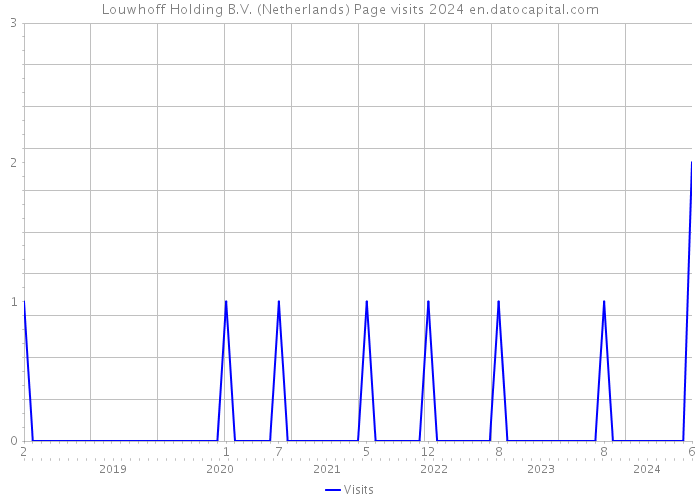 Louwhoff Holding B.V. (Netherlands) Page visits 2024 
