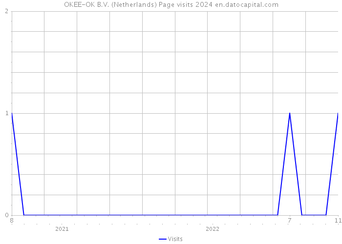 OKEE-OK B.V. (Netherlands) Page visits 2024 