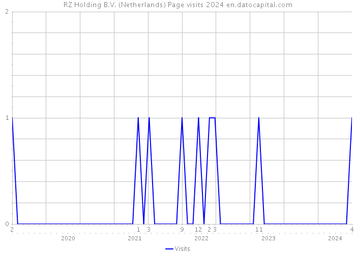 RZ Holding B.V. (Netherlands) Page visits 2024 