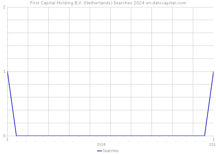 First Capital Holding B.V. (Netherlands) Searches 2024 