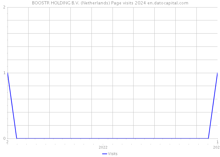 BOOSTR HOLDING B.V. (Netherlands) Page visits 2024 